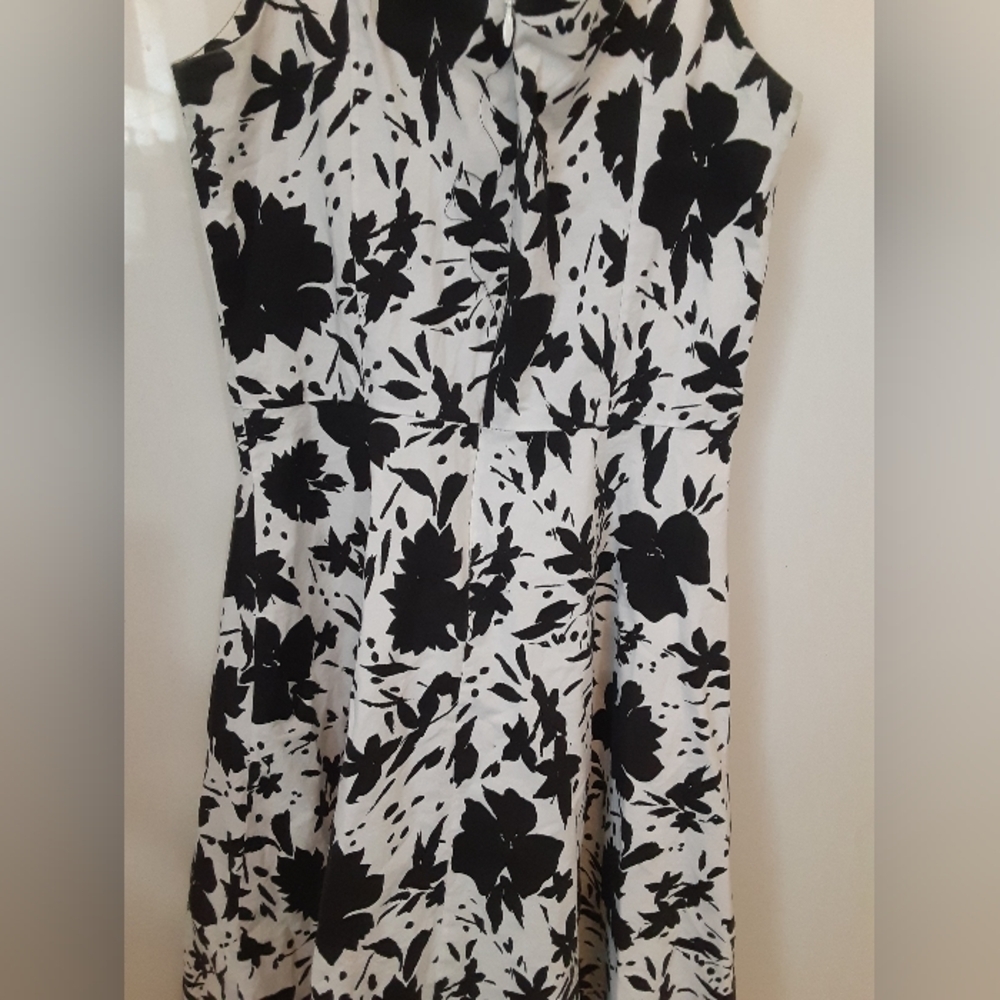 Up Front Dress - Picture 3 of 6